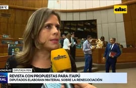Diputados lanzan revista con propuestas para itaipú