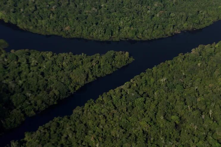 Fotografía aérea de archivo que muestra un río que atraviesa un sector de la selva amazónica, cerca de Tabatinga, en el Amazonas (Brasil).