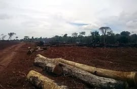 la-deforestacion-una-enemiga-latente-42721000000-1342535.jpg