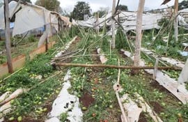 Una tormenta tipo tornado arrasó con viviendas, viveros de hortalizas, árboles y otras construcciones en una zona que abarca parte del distrito de Capitán Miranda, en los alrededores de la calle D y la ruta Graneros del Sur Paraguay-Japón.