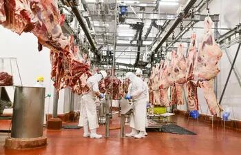 La exportación de carne bovina es récord en volumen y en divisas este año, a pesar de que falta todavía sumar diciembre.