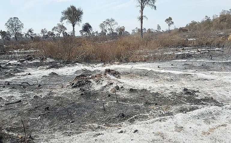 Imágenes de estancias del Chaco luego de los incendios descontrolados registrados la semana pasada.