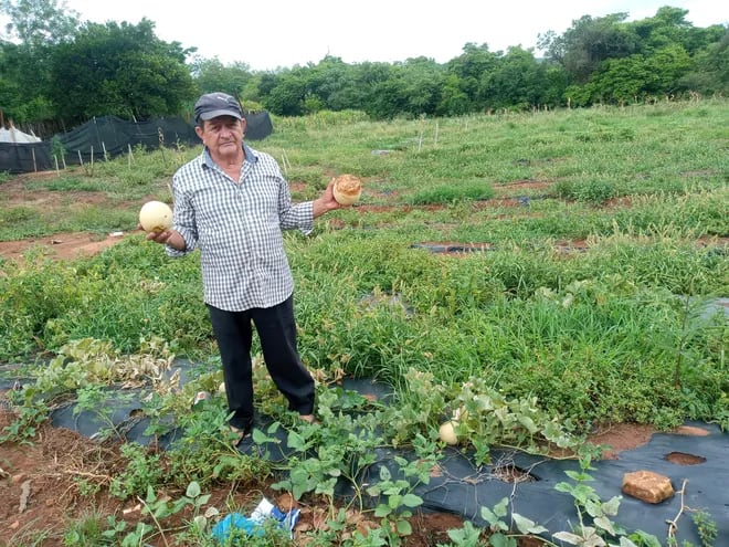 La sequía causó estragos en la producción agrícola de la zona de Ypané.