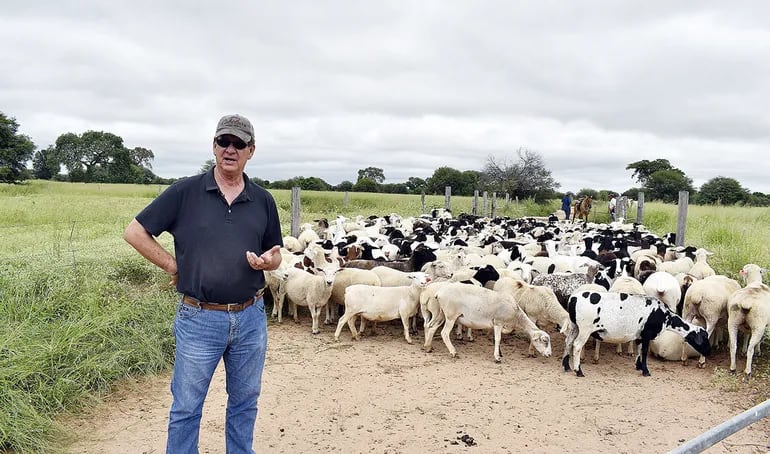 Willy Goosen explica las ventajas que le dio el cambio de sistema de cría de ovinos, en su unidad de producción en el Chaco.