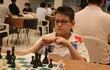 El ajedrecista compatriota Enzo Viñales obtuvo este jueves el título de Campeón del Mundo Sub 11 de ajedrez, en el certamen juvenil que se celebra en Lima, Perú.