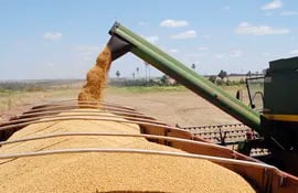 La semilla de soja sigue liderando el rubro exportable, con el 51% del total de los envíos.
