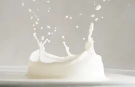 La leche y sus derivados son fuente de proteínas fácilmente digeribles que aportan todos los aminoácidos esenciales. Por eso se consideran proteínas de alta calidad nutricional o alto valor biológico.