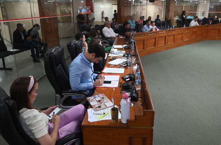 Los concejales de Asunción decidieron hoy, en sesión, pedir a "Nenecho" que se vuelvan a hacer estudios técnicos respecto al desagüe que se construye en Molas López.