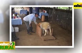ABC Rural Programa 17: Educativo