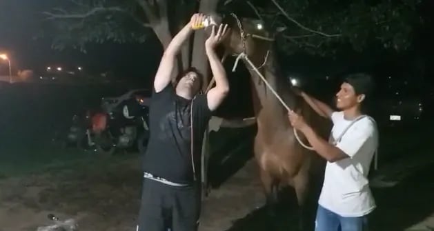 La captura del vídeo en el que un agente de la Policía le da de tomar -de forma forzada- cerveza a un caballo.