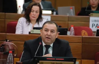Líder Amarilla (Foto. Prensa Senado)