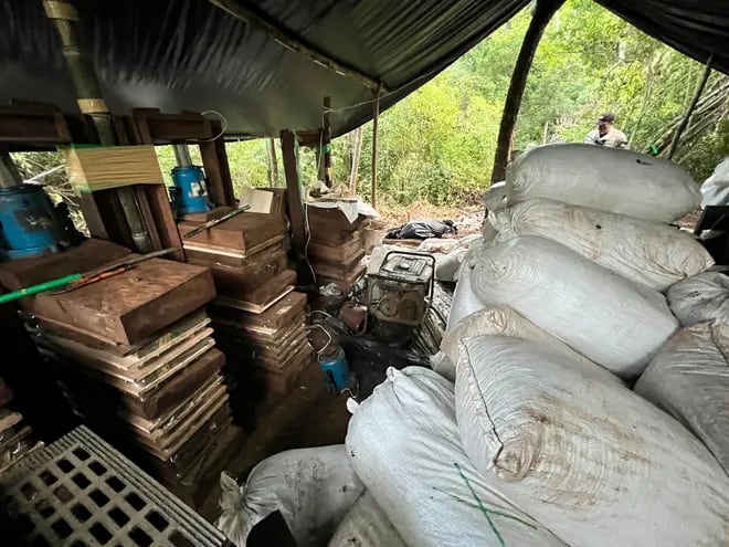 Incautación y destrucción de casi 9 toneladas de marihuana en Amambay