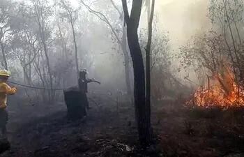 capturaS de video del incendio que se registra en el parque nacional Cerro Cora. Videos enviados por Gilberto Ruiz Díaz, corresponsal