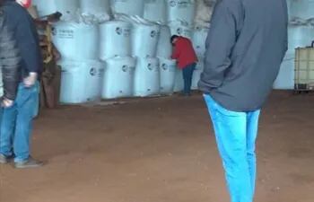 Semillas de soja, presuntamente ilegales, retenidas por el Senave, en Canindeyú.