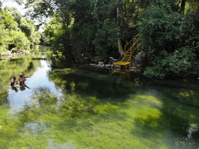 El agua transparente es una de las principales características de los arroyos Tagatiya, Tagatiyami y Tagatiya guasu, ubicados en el distrito de San Alfredo, en Concepción. Foto gentileza.