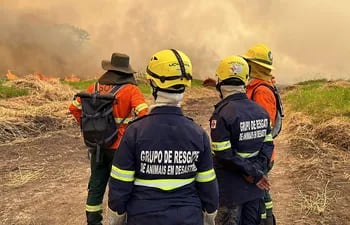 Bomberos forestales combaten los incendios considerados "incontrolables" por las autoridades de Brasil en el Pantanal brasileño, en Porto Jofre, región del estado de Mato Grosso. (AFP)