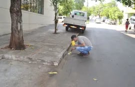 un-funcionario-municipal-trabaja-en-la-pintura-de-una-de-las-calles--210613000000-1640633.jpg