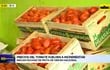 Video: Precios del tomate vuelven a incrementar