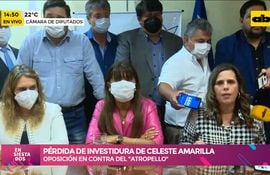 Pérdida de investidura de Celeste Amarilla, oposición apoya totalmente a la diputada liberal