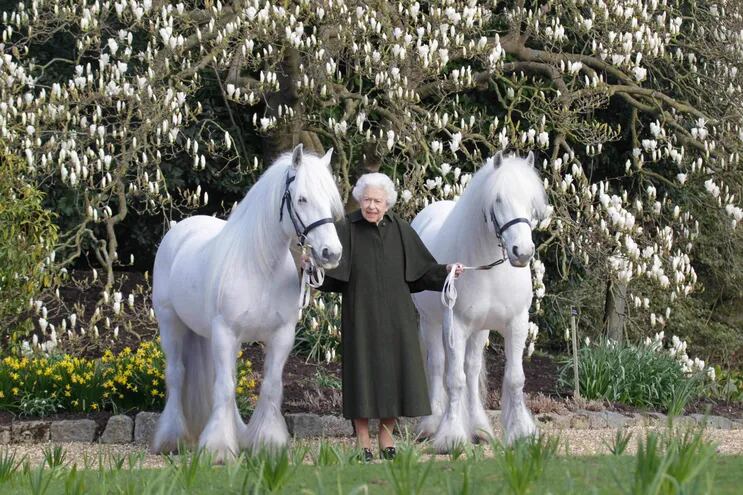 La reina Isabel II posa con sus ponis Fell Bybeck Nightingale (derecha) y Bybeck Katie (izquierda), como parte de las celebraciones por su cumpleaños número 96.