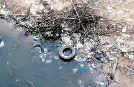 Así se encuentra el arroyo Mburicaó a la altura de la nueva Costanera. Plásticos y  neumáticos invaden el cauce hídrico, pese al supuesto trabajo de recuperación que hace la Comuna.