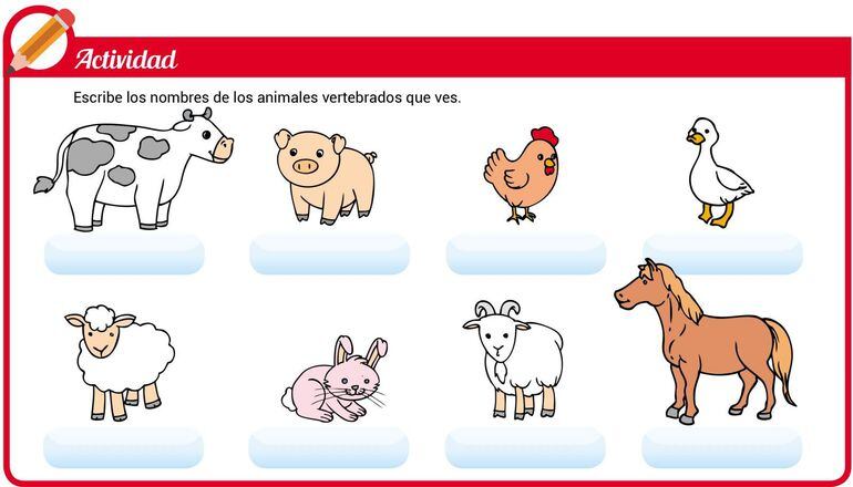 Animales con huesos - Escolar - ABC Color