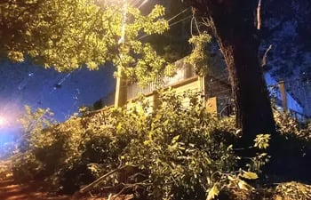 Vecinos denunciaron que funcionarios de la ANDE podaron árboles y los dejaron de manera peligrosa en la ciudad de Luque, zona Confederación Sudamericana de Fútbol.