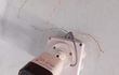 Un docente cortó los cables de la cámara de circuito cerrado instaladas en un colegio de Villa Elisa