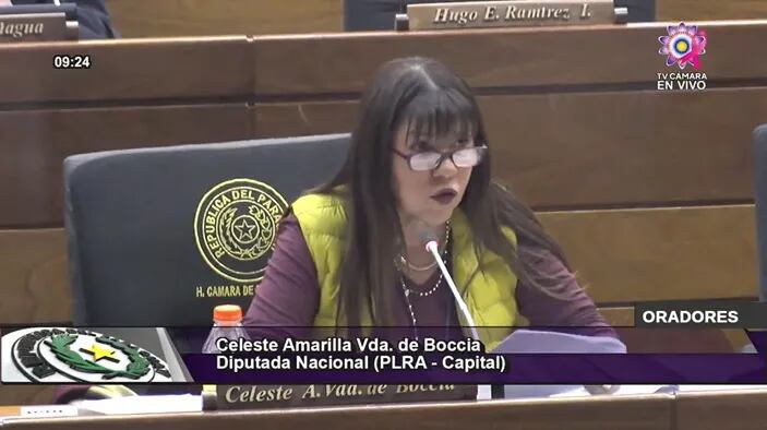 La diputada Celeste Amarilla denunció que la empresa explotadora de la quiniela evadió US$ 20 millones, en complicidad con Conajzar, hoy en la sesión ordinaria de Diputados.