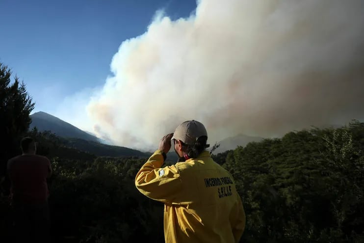 Un guardia forestal se lamenta ante los incendios que consumen áreas de la Ruta 40, en Paraje Villegas, Río Negro.