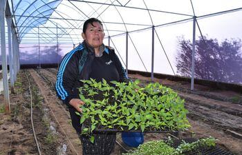 Los horticultores buscan fortalecer sus producciones para mejorar sus ingresos en Ayolas.
