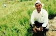 El Ing. Agr. Javier Villalba trabaja hace años con el cultivo de orégano, y explica que puede dejar buenos dividendos al productor.