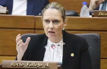 La diputada Rocío Vallejo insiste en que el proyecto Hambre cero no se apruebe aún como ley y que los sectores especializados en nutrición infantil tengan tiempo de analizarlo.