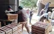 Productores cargan un camión  con las cajas de tomate.