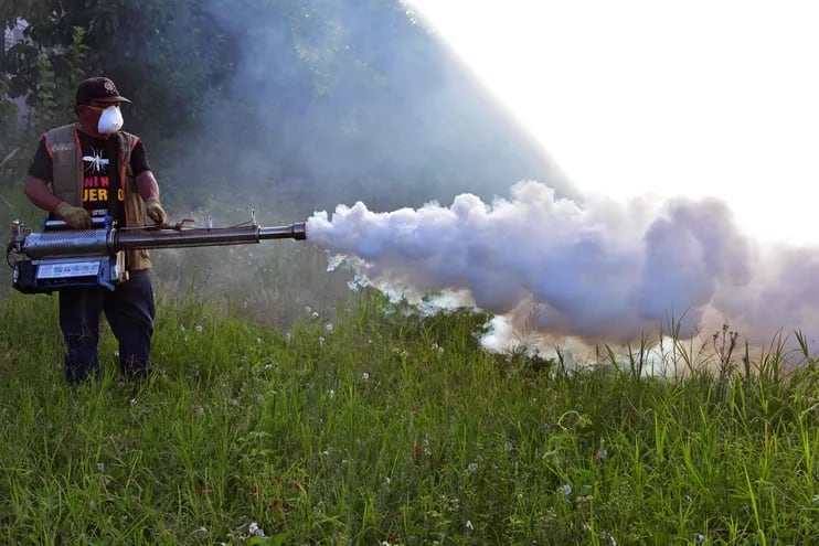 Un funcionario realizando la fumigación ante la proliferación del mosquito transmisor de chikuguña.