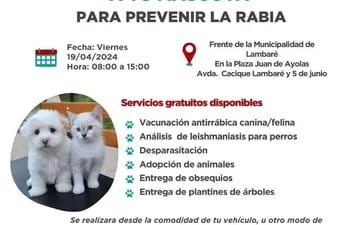 Este viernes 19 de abril, de 08:00 a 15:00 horas, frente a la Municipalidad de Lambaré, en la Plaza Juan de Ayolas (Avda. Cacique Lambaré y 5 de junio), jornada de vacunación y desparasitación gratuita para mascotas.