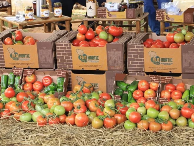 Productos de excelente calidad fueron ofertados en la Expo Tomate.