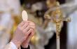Un sacerdote de Florida es investigado por morder la mano de  una feligresa  durante la Eucaristía dominical  en un supuesto “intento de defender  la Comunión”,