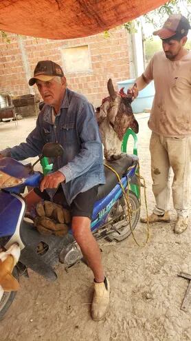 Don Eugenio Velázquez Martínez (77) en su motocicleta exhibe la cabeza de uno de sus animales faenado por los abigeos en Carmelo Peralta.