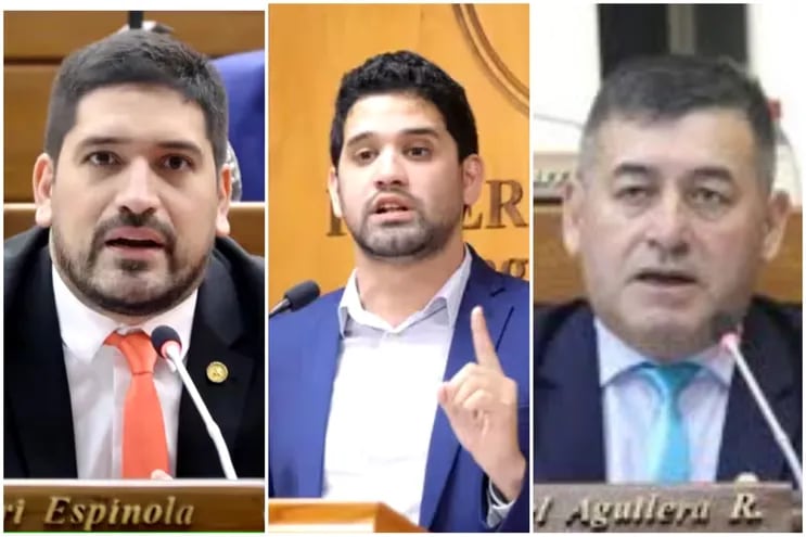 Los diputados Mauricio Espínola, Raúl Benítez y Diosnel Aguilera plantearon nuevas dudas ante la decisió, si bien acertada, no por ello no cuestionable del gobierno de restituir a la mayoría de los 185 funcionarios desvinculados de Itaipú.