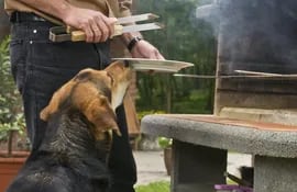 Con respecto a dar huesos a los perros, si esto se hace correctamente no debería tener consecuencias dañinas para la mascota.