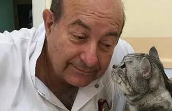 El Dr. Rubén Gatti, experto en medicina felina.