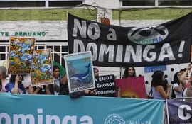 Personas se manifiestan a favor y en contra del controvertido megaproyecto Dominga para la extracción de concentrado de hierro y cobre, afuera del ministerio de Medio ambiente, en Santiago (Chile). E