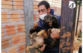 Defensa Animal rescató a cuatro perros que quedaron "huérfanos" por coronavirus.