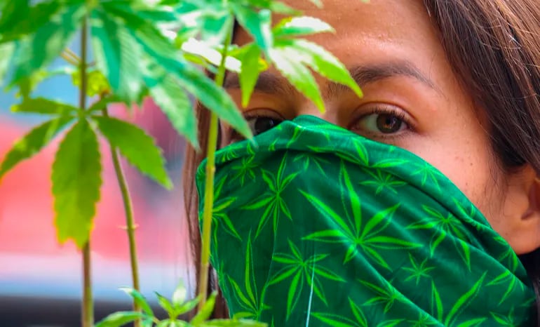 Integrantes de la Federación Cáñamo Marihuana realizaron el pasado 17 de noviembre una venta de artículos de marihuana durante una protesta para exigir la legalización del cannabis para uso médico y medicinal en Ciudad de México.