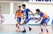 Selección Paraguaya, Futsal FIFA, Liga Sudamericana de Futsal FIFA.
