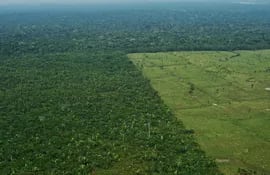 Vista aérea que muestra la deforestación de la Amazonia brasilera.