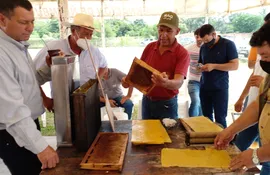 Los apicultores de Ñeembucú, buscan inscribir en DINAPI, la marca de la miel de abeja con la denominación "De los humedales del Ñeembucú".