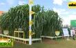 ABC Rural Programa 19: Agricomseed, sorgo gigante boliviano