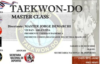 taekwondo-master-class--205218000000-1787808.jpg